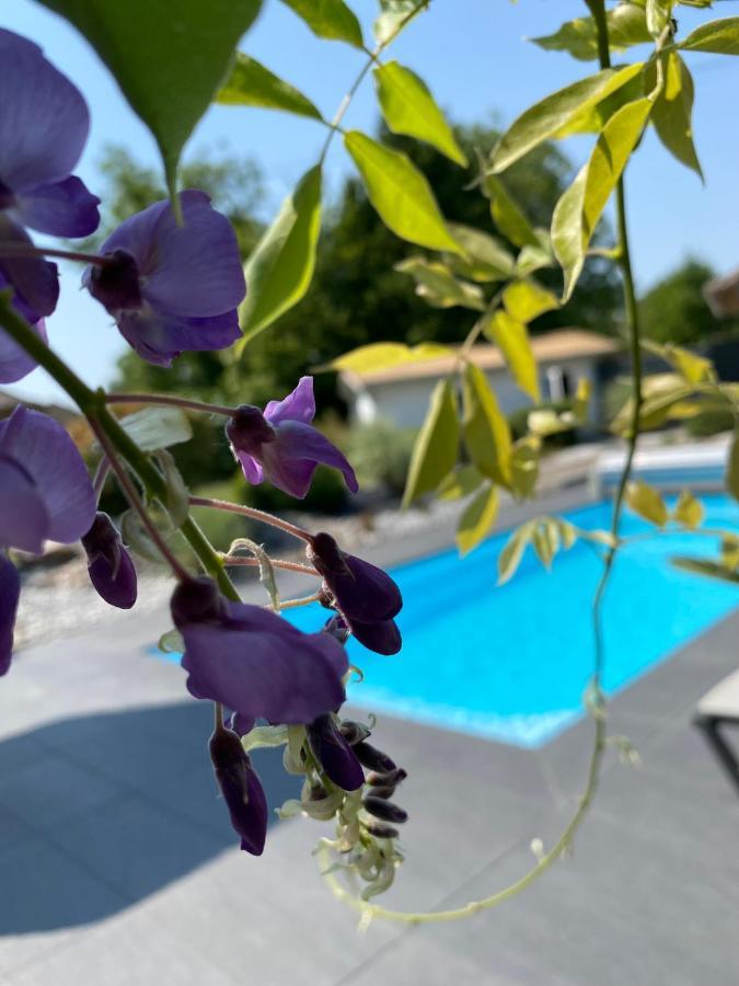Les Rives Des Habsbourg Aparthotel Енсисайм Екстериор снимка